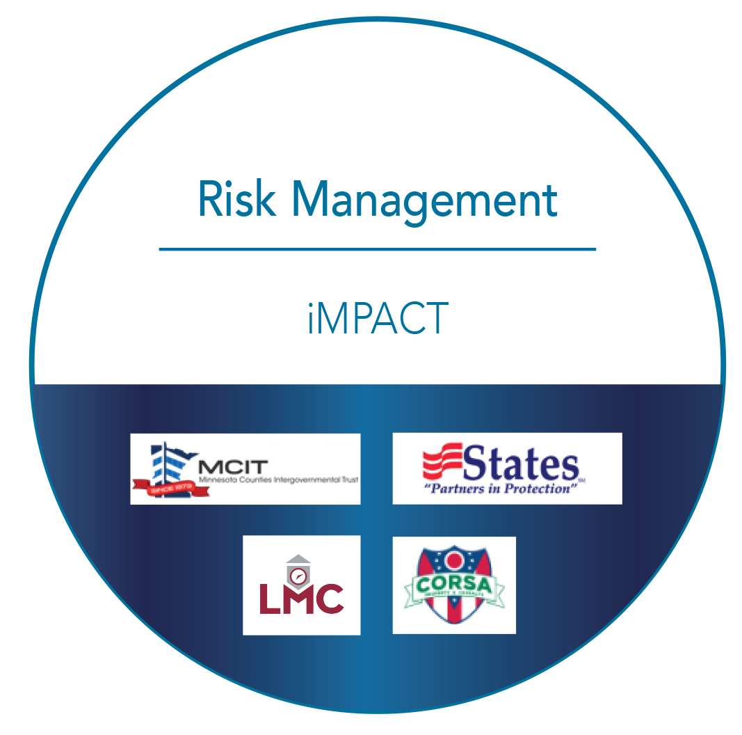 Logo for Risk Management Impact